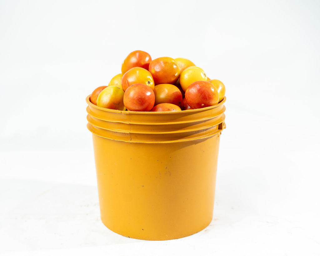 Tomatoes